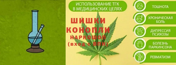 PSILOCYBIN Надым