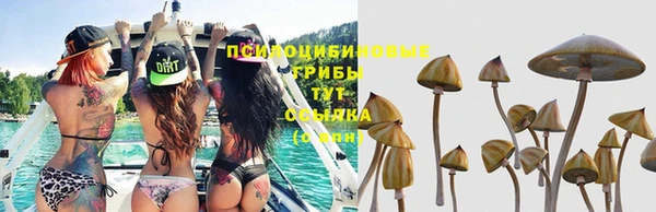 гашишное масло Баксан